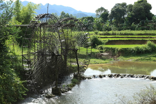 水稻梯田