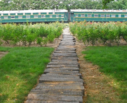 通向火車的枕木道路