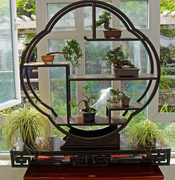 綠植盆景室內(nèi)擺設(shè)