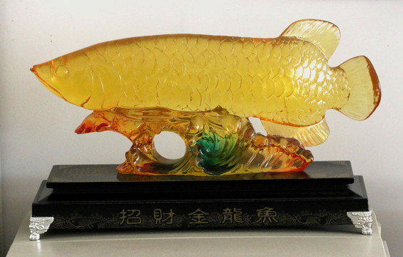 金龍魚(yú)