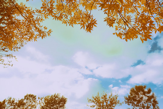 秋景