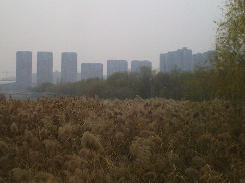 西安 浐灞 一帶風(fēng)景區(qū) 城