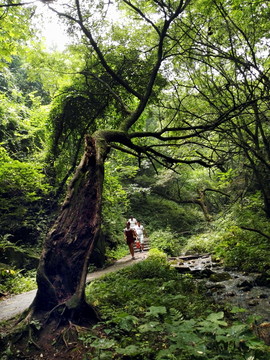 景區(qū)游客 旅游景點景區(qū)安全提示