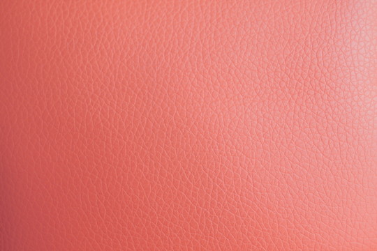 皮質(zhì)紋理
