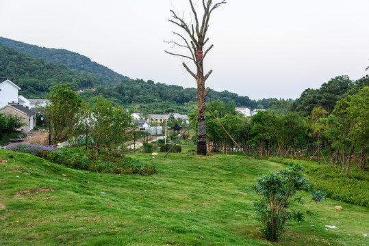 不老村村景