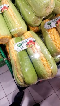 玉米