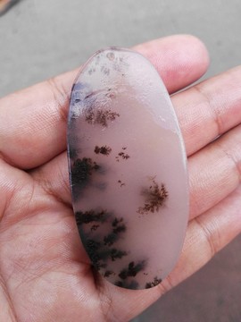 黃龍玉水草花