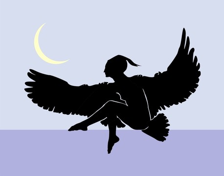晚上的鳥