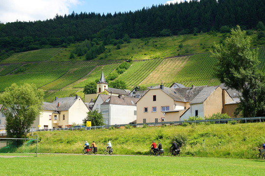 自行車路線，以burg der der Mosel