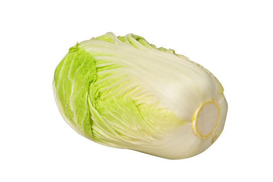 大白菜