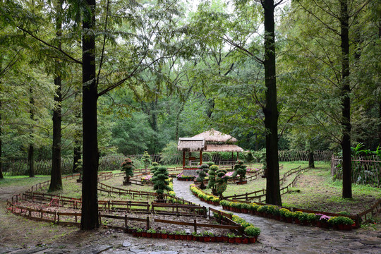 南京植物博覽園