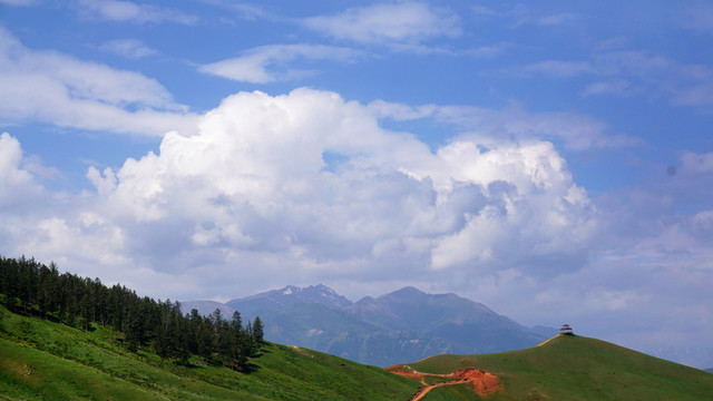 卓爾山風景