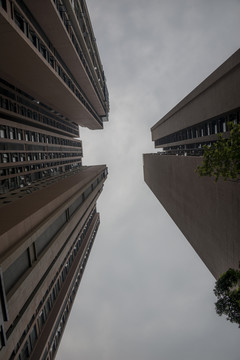 仰視的建筑