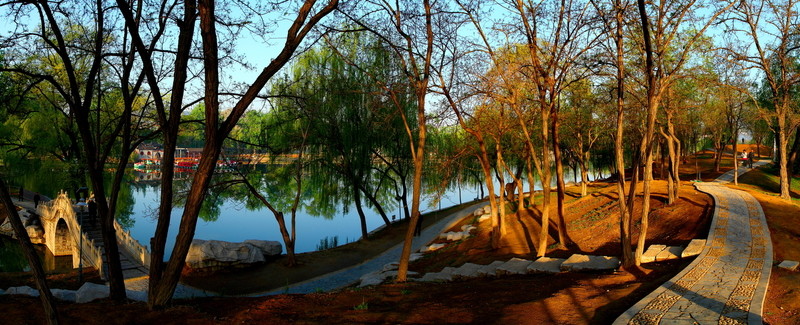 公園