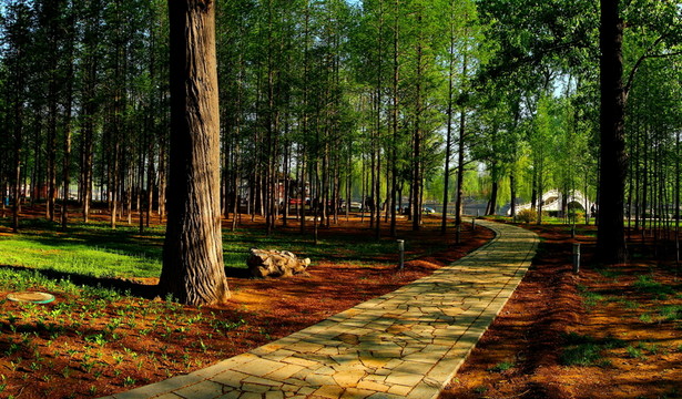 公園