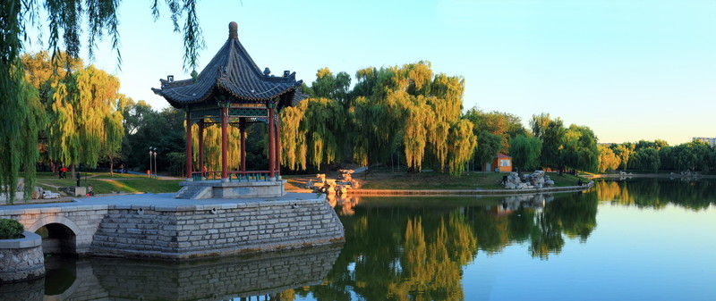 公園