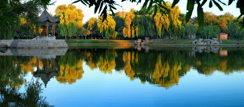公園