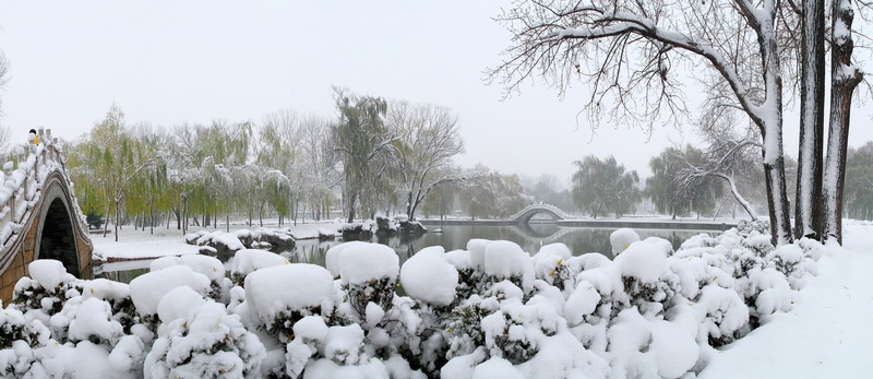 雪景公園
