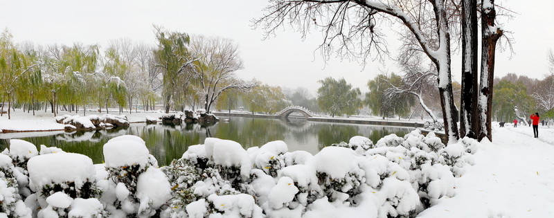 雪景公園