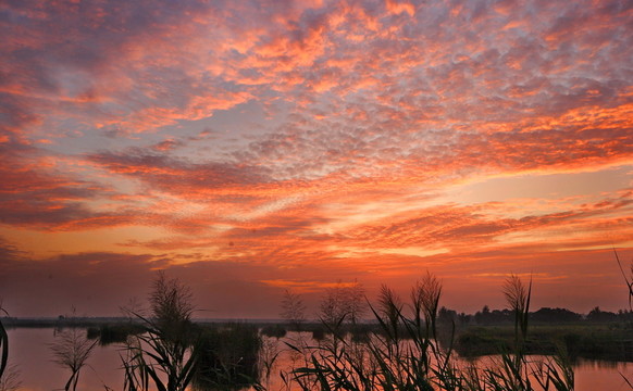 大沙河