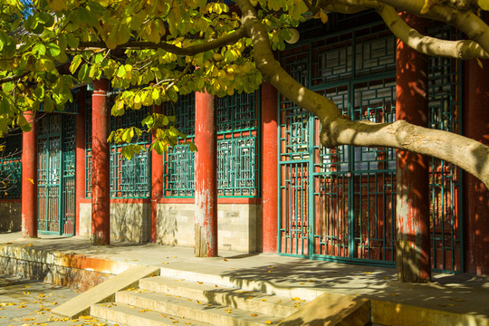 慈禧居所