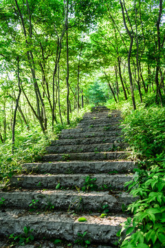山道