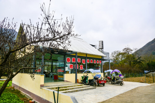 泰美農(nóng)場