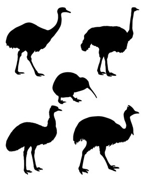 世界的平地球