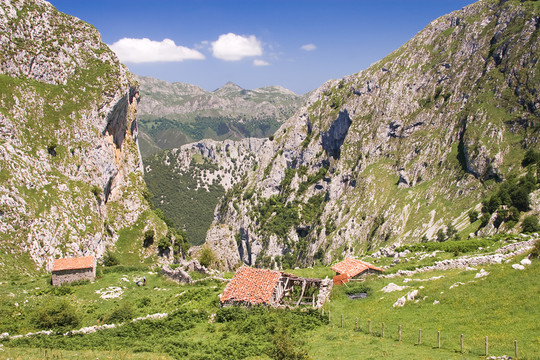 山