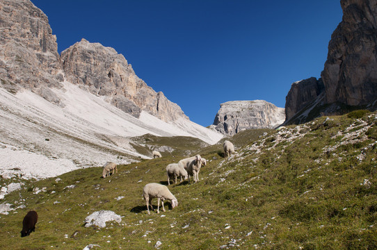 山