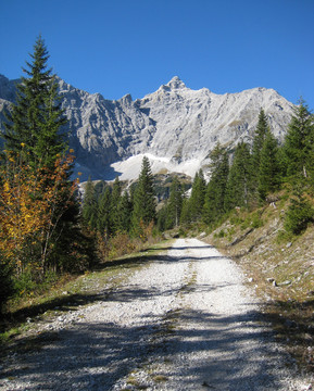 山