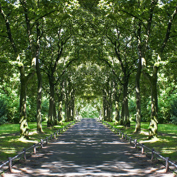 公園