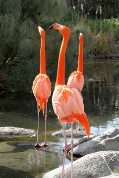 公園