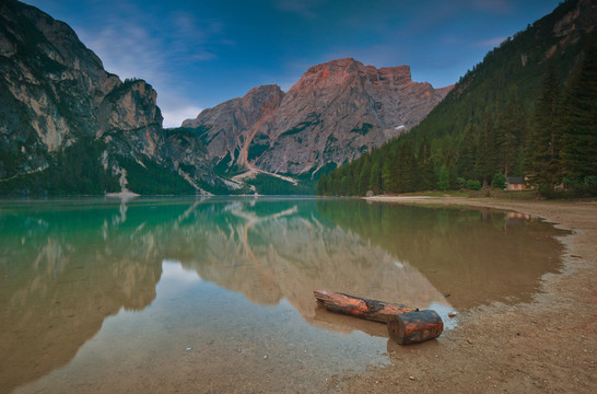的Wildsee