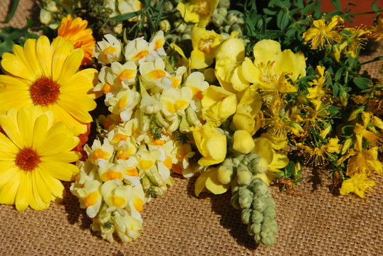 黃色草藥草本花束