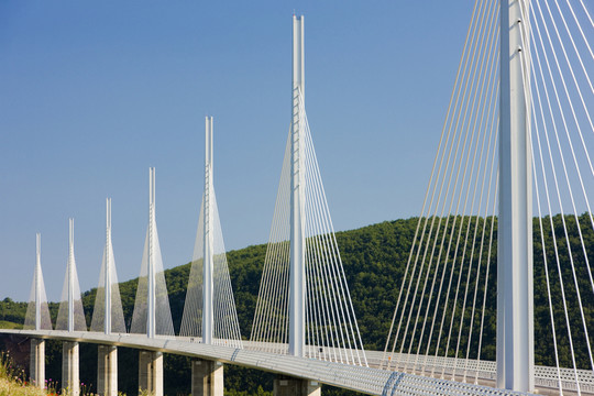 橋