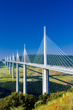 橋