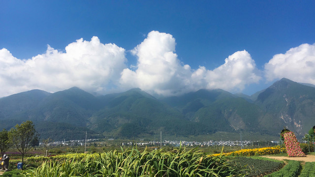 蒼山風(fēng)景