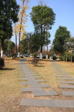 校園秋景 石板路