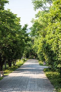 景區(qū)道路