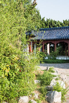 梅花山景區(qū)景觀