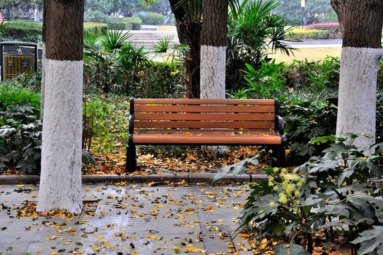 休閑椅 公園 校園