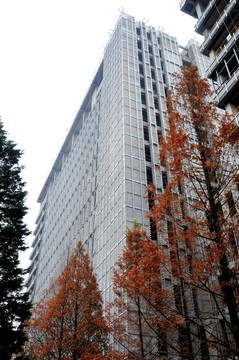 中科大 教學樓 秋景