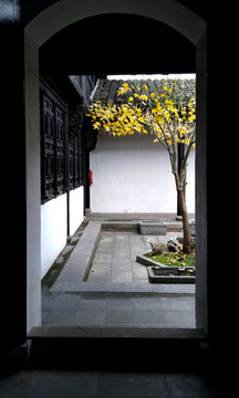 園林素材