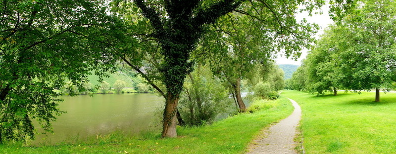 公園