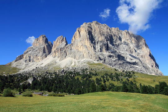 山