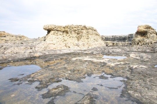 沙漠