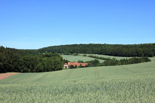 siegelshof