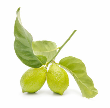 農業(yè)