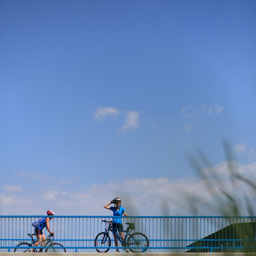 運動